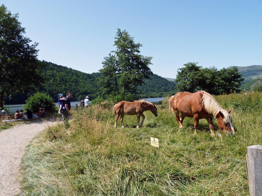 Les Chenets Vila Chambon-sur-Lac Exterior foto